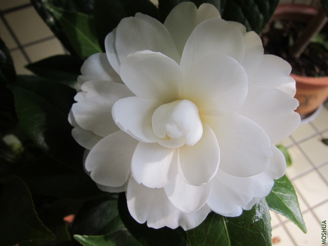 С���2 (2).jpg