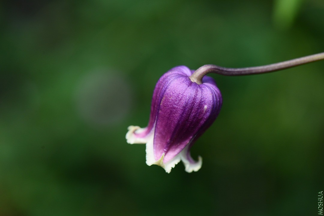 DSC_5572.JPG