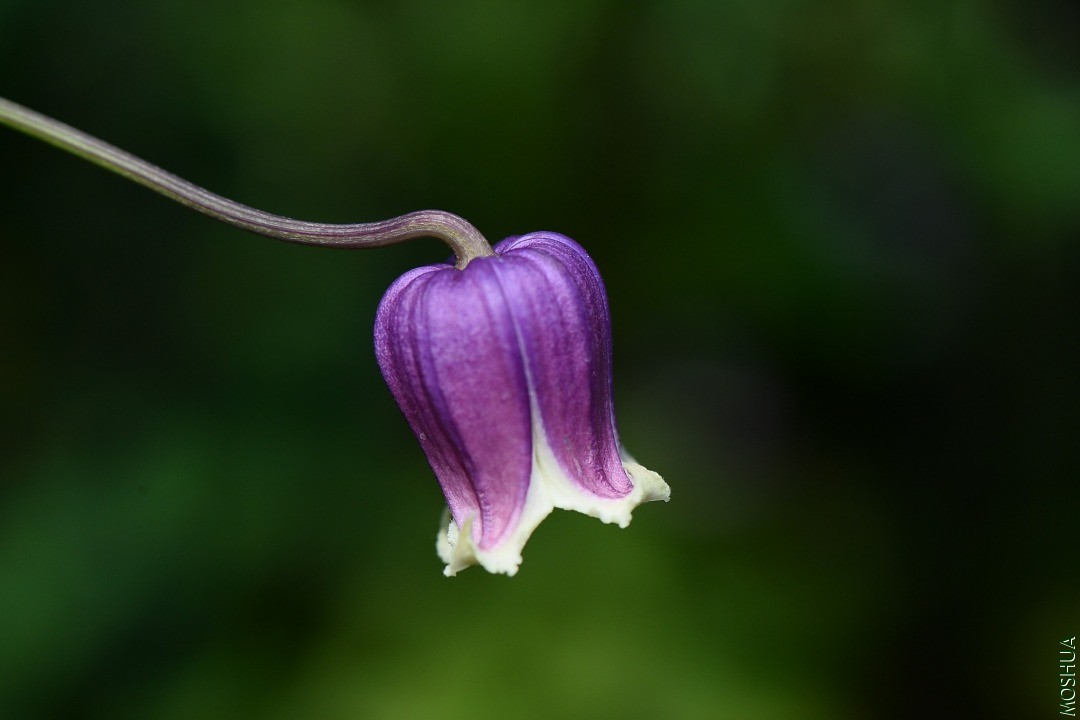 DSC_5578.JPG