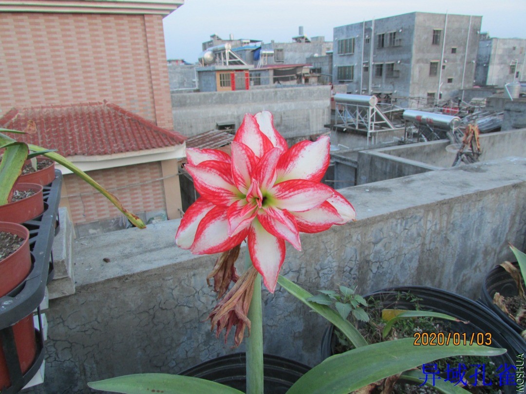 IMG_6149.JPG