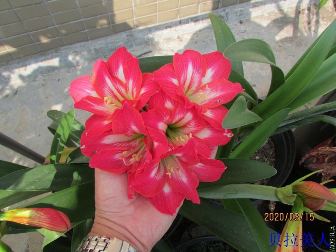 IMG_7983.JPG