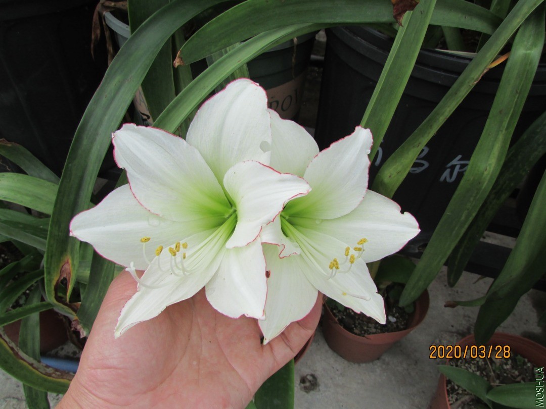 IMG_8466.JPG