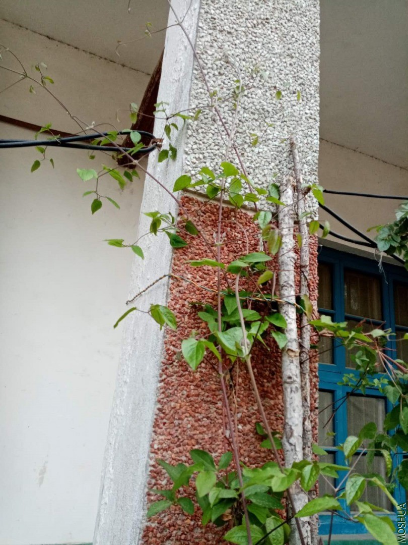 ΢��ͼƬ_20200408144735.jpg