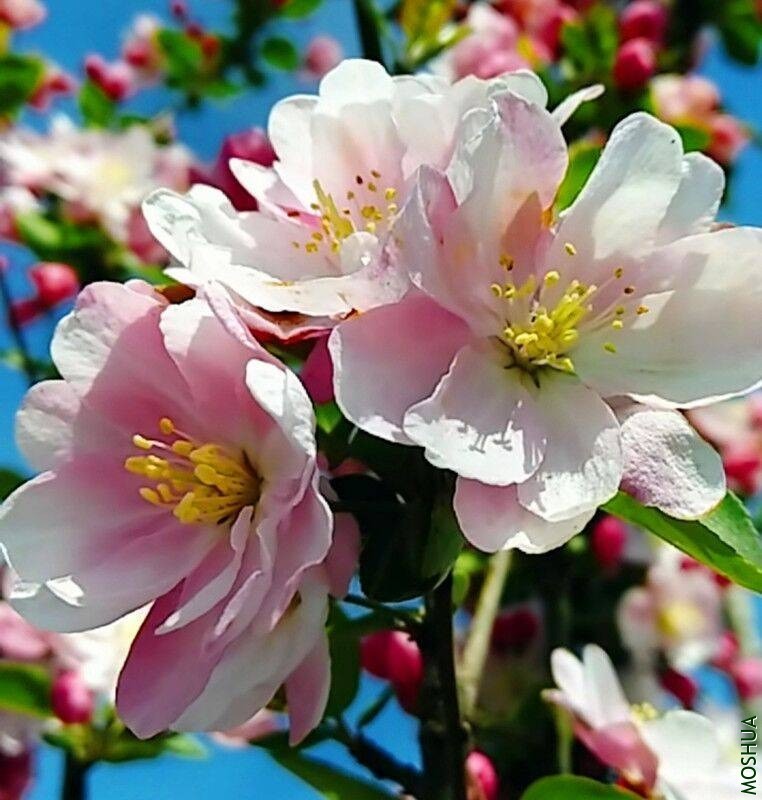 QQͼƬ20200408192554.jpg