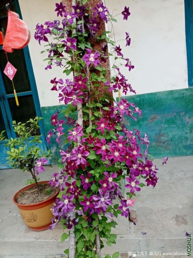 142022ina4ndiw4iop4not.jpg