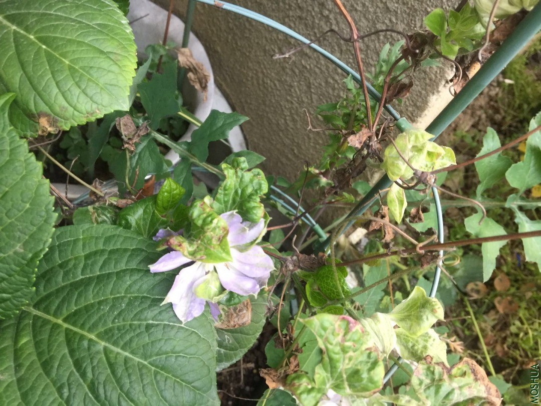΢��ͼƬ_20200415125814.jpg