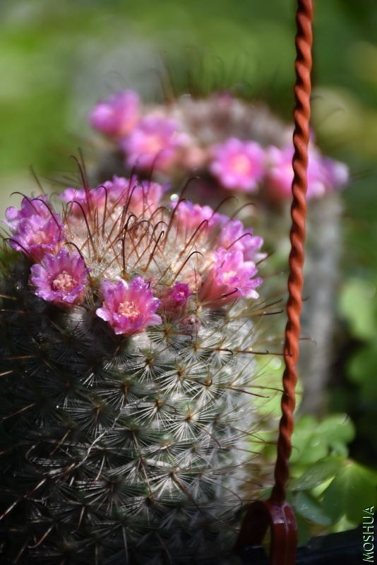 DSC_03970397.JPG
