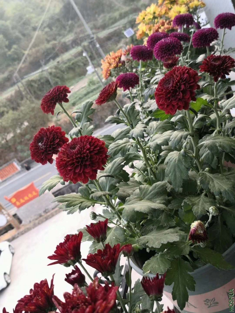 ΢��ͼƬ_20200411101405.jpg