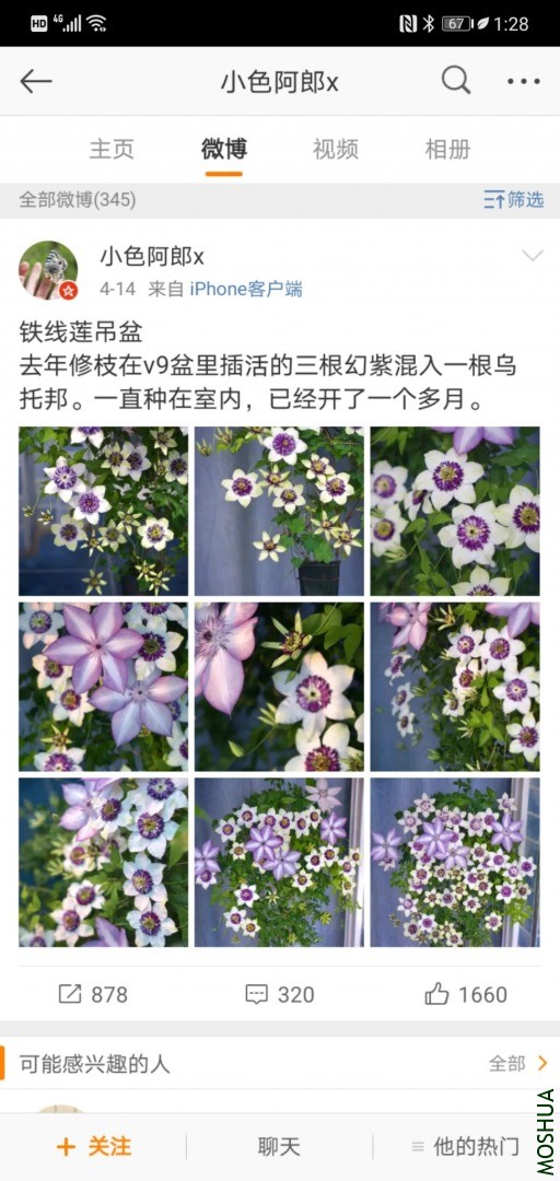 Screenshot_20200418_132816_com.sina.weibo.jpg