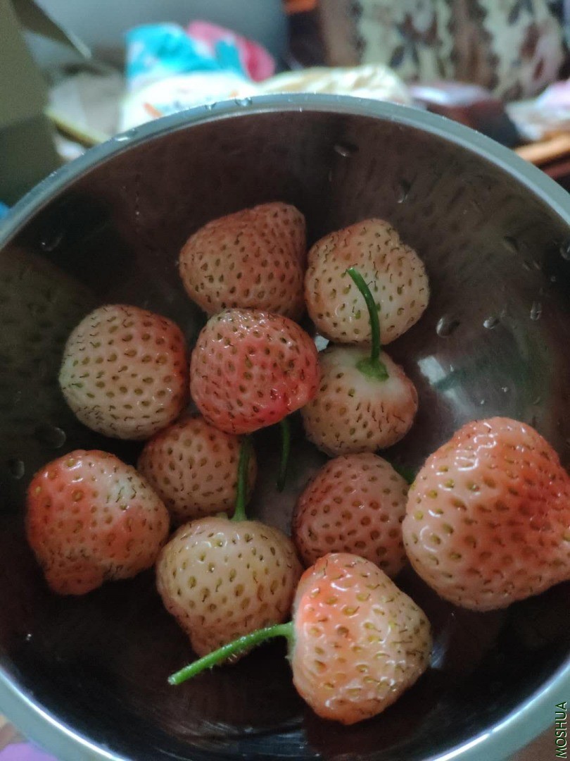΢��ͼƬ_20200421153252.jpg