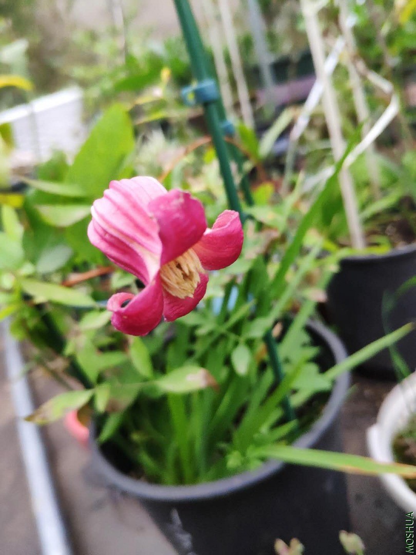 ΢��ͼƬ_20200421153335.jpg