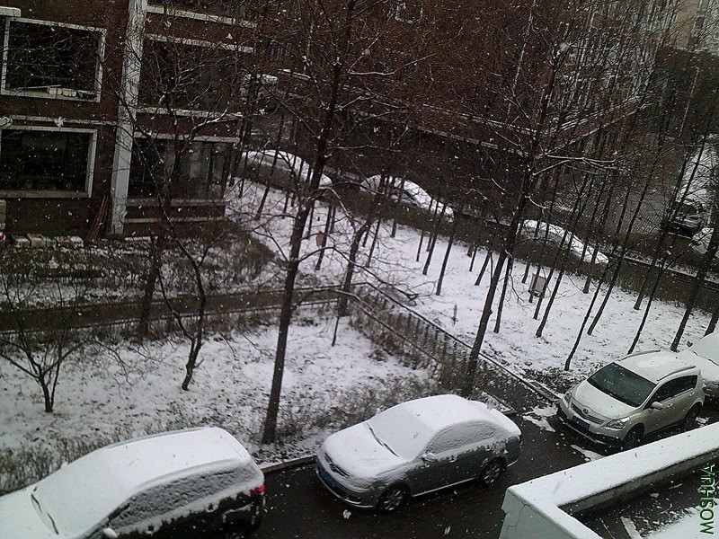 DSCF0001.JPG