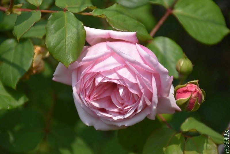DSC_00100010.JPG
