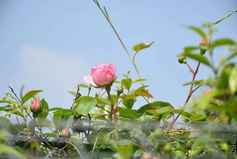 DSC_00190019.JPG