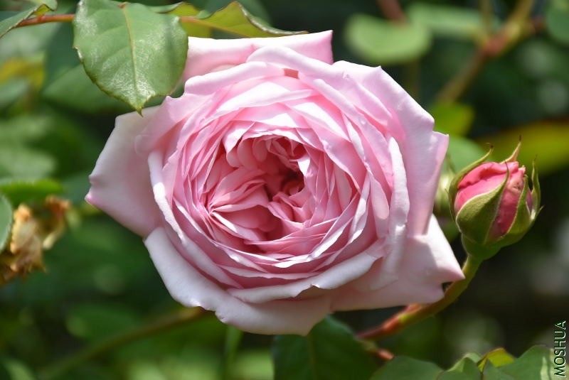 DSC_00120012.JPG