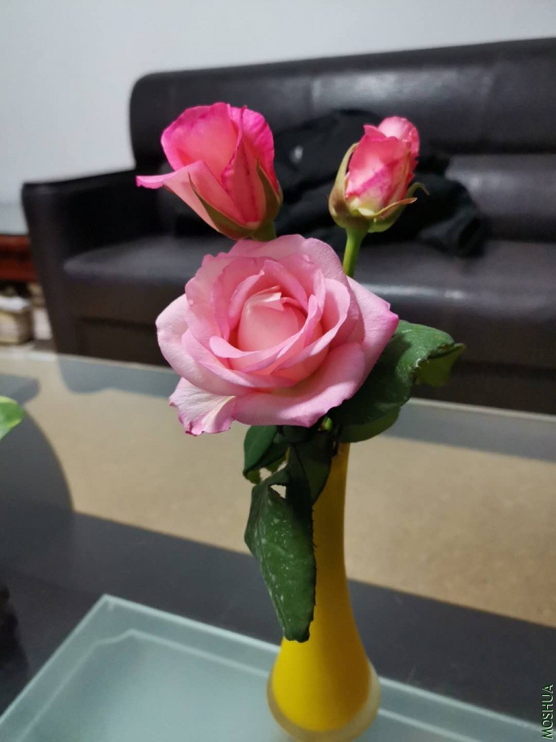 ΢��ͼƬ_20200423115406.jpg