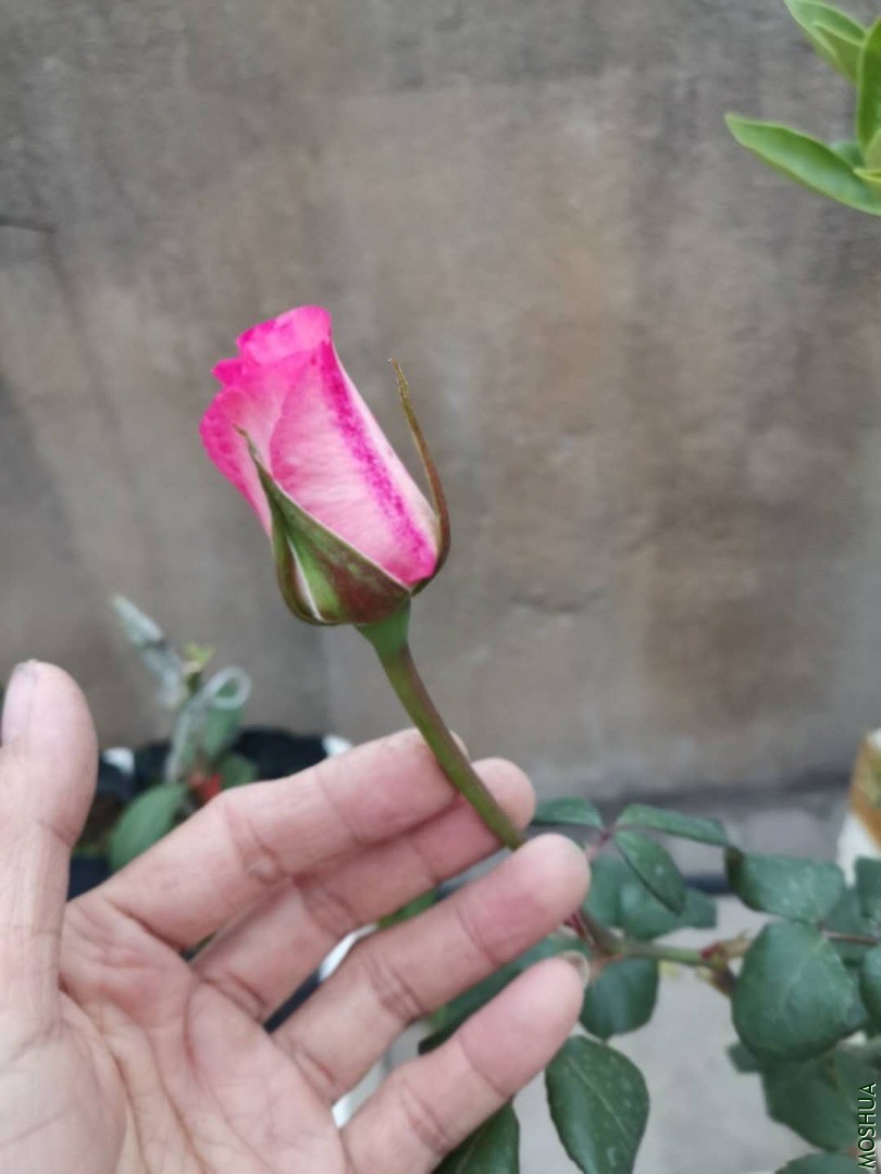 ΢��ͼƬ_20200423115409.jpg