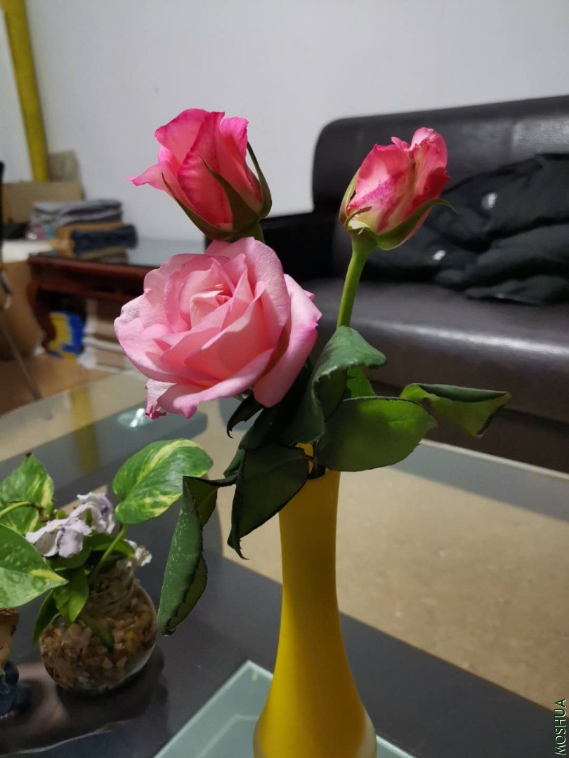 ΢��ͼƬ_20200423115412.jpg
