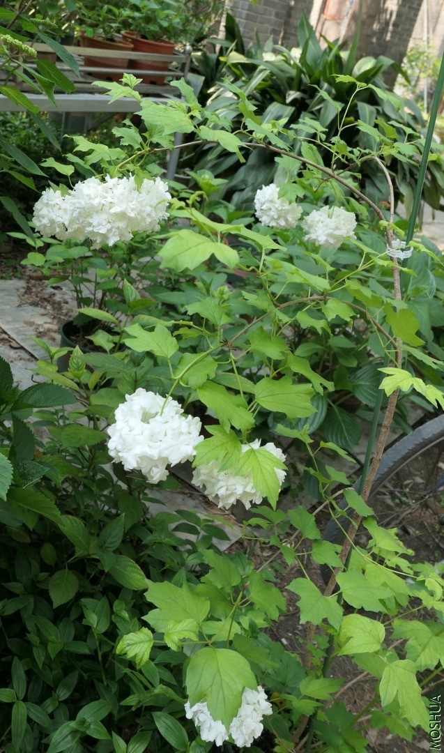 P2560291.jpg