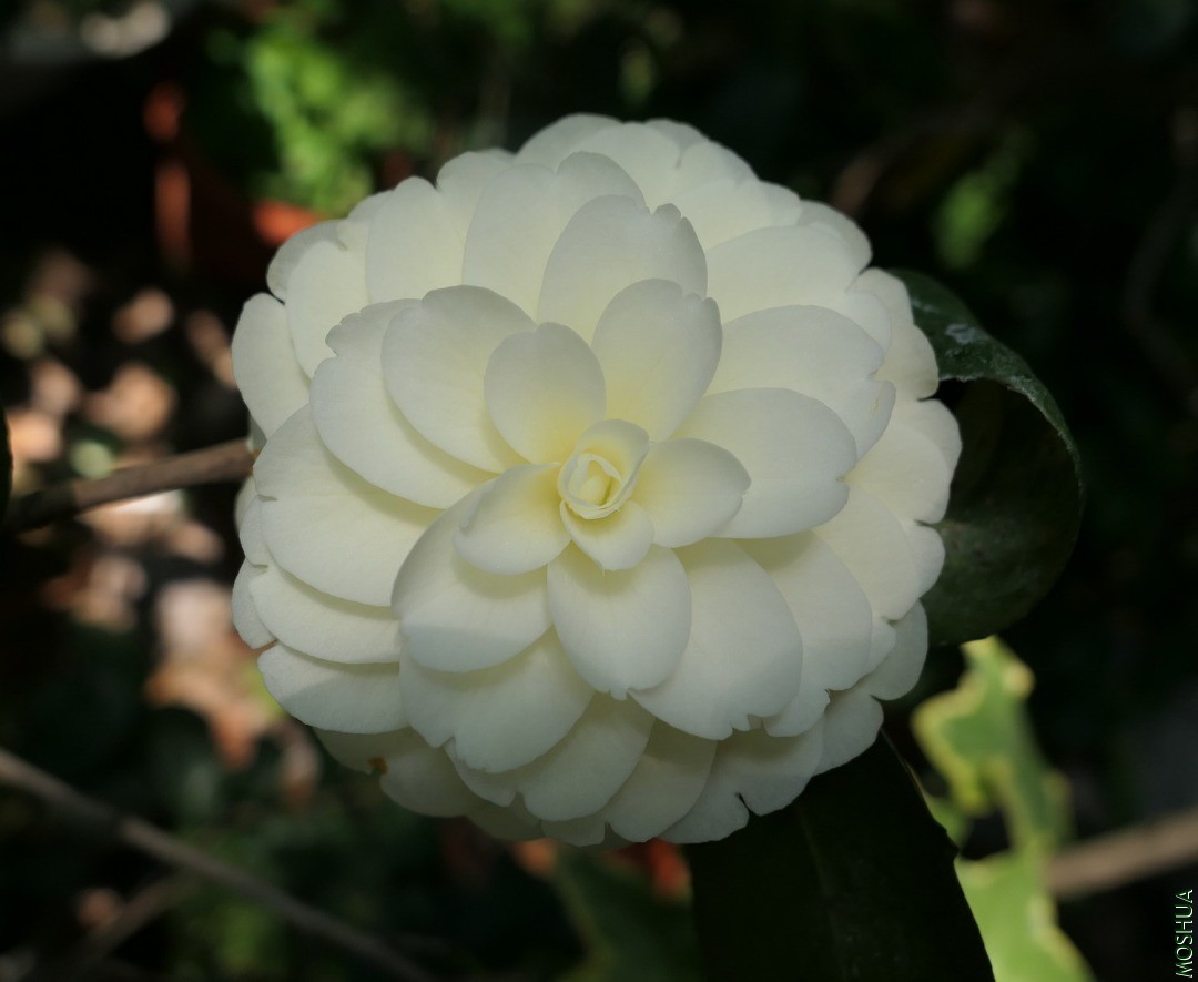 P2560395�ƴ�.jpg