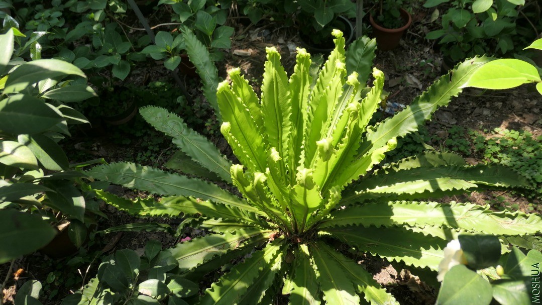 P2560401.jpg