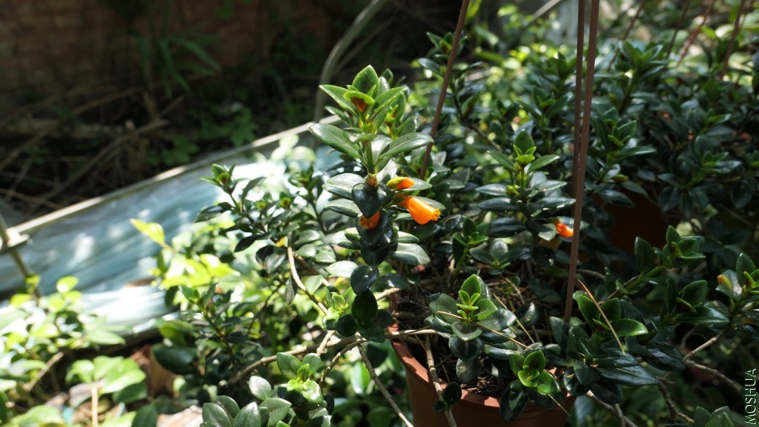 P2560497.jpg