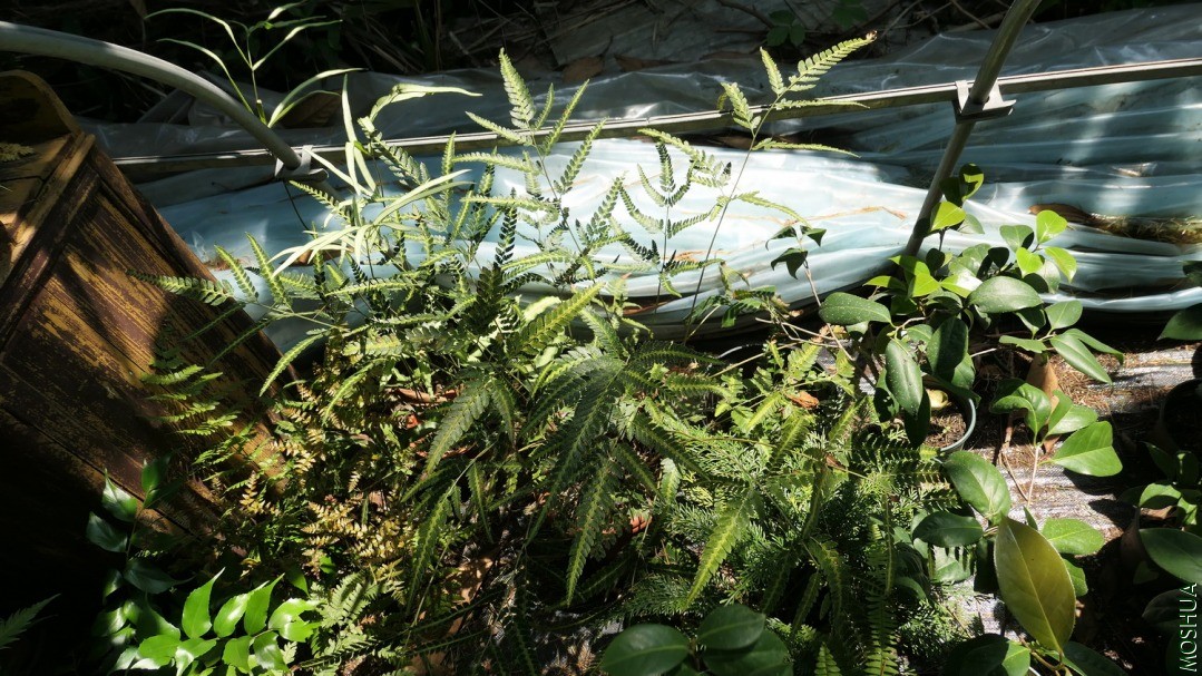 P2560502.jpg
