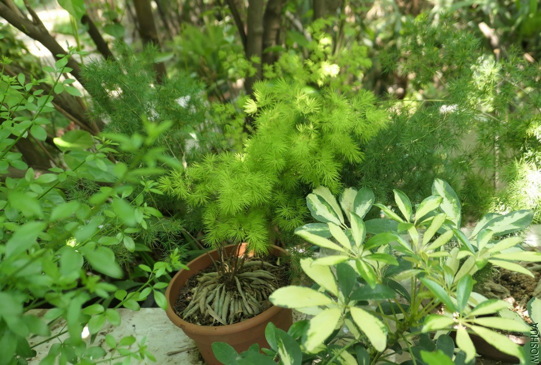 P2560515.jpg