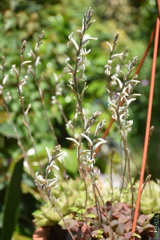 DSC_02810281.JPG