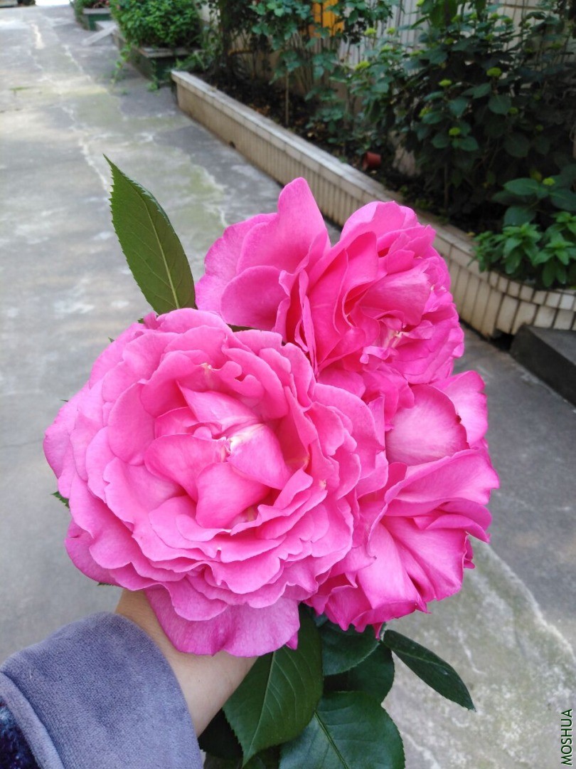 QQͼƬ20200428121137.jpg
