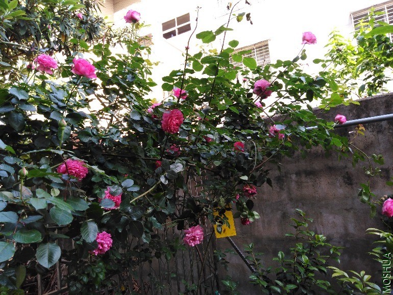 QQͼƬ20200428121219.jpg