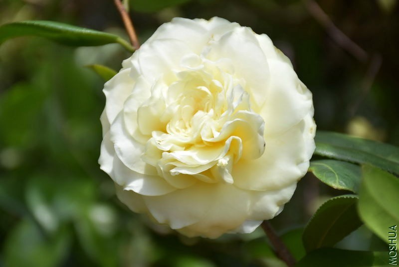 DSC_02800280.JPG