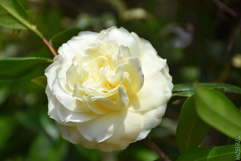 DSC_02840284.JPG