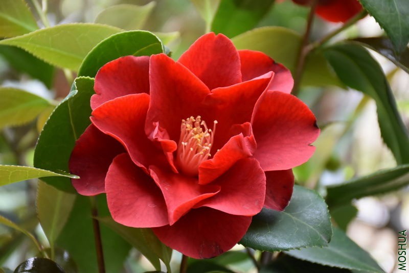 DSC_03280328.JPG