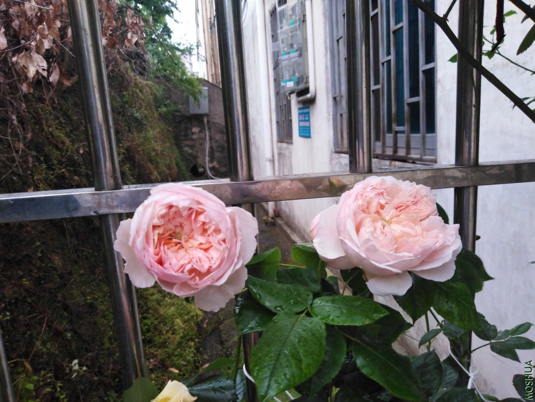 QQͼƬ20200501113959.jpg