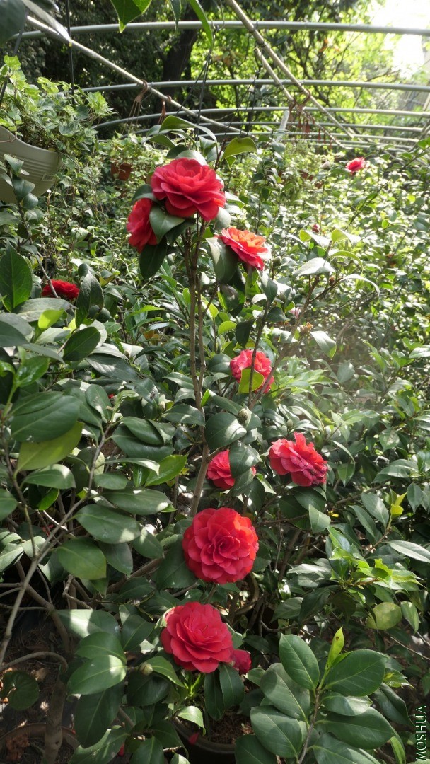 P2570369�ɶ�.jpg