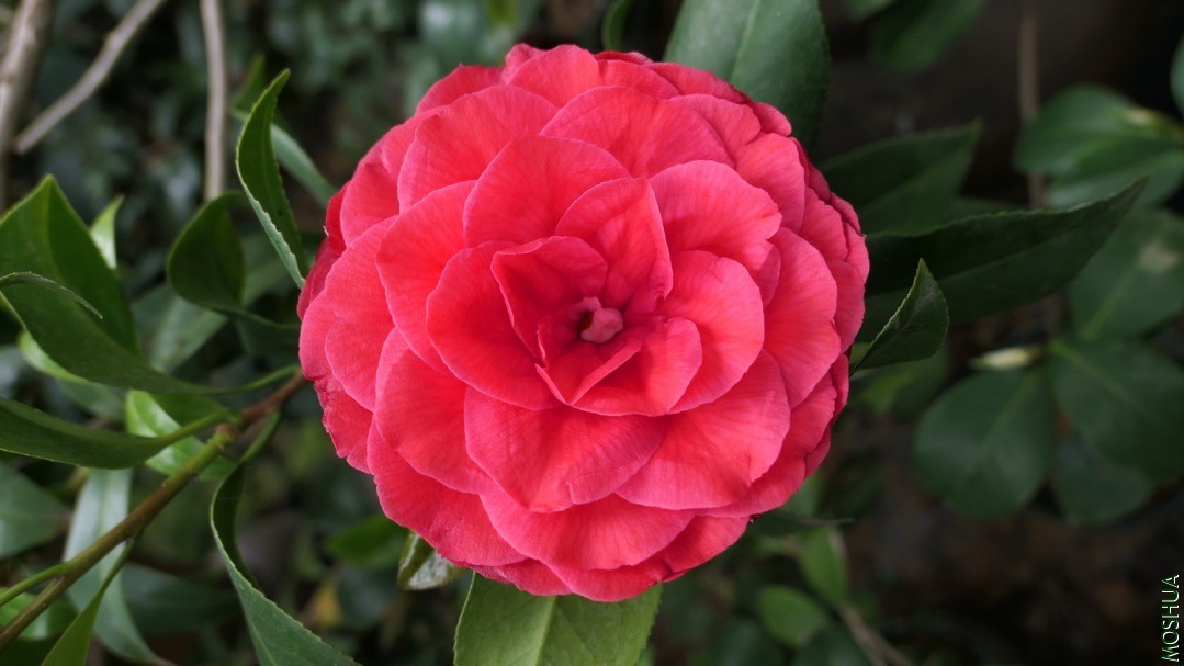 P2570417�ɶ�.jpg