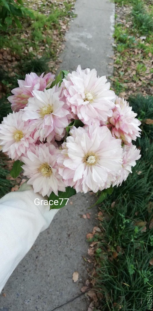 IMG20200503074330.jpg