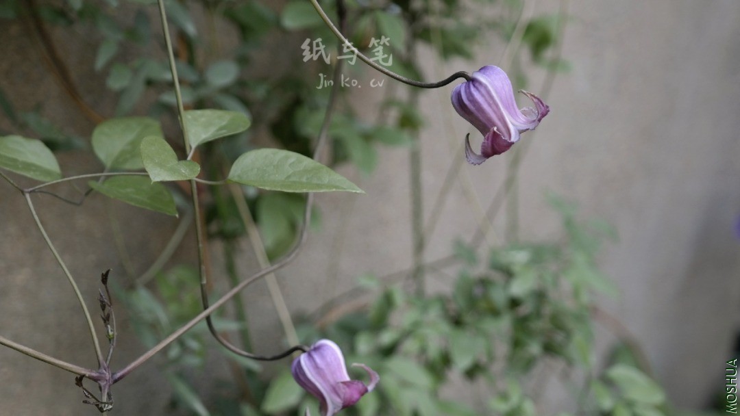 4d7260f0fa3459650cdf81fd8033837.jpg
