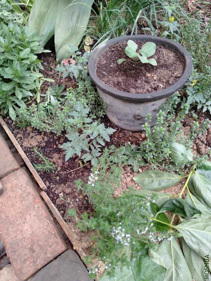 IMG20200505100637.jpg