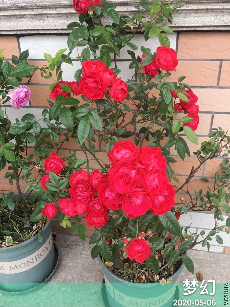 QQͼƬ20200506191656.jpg