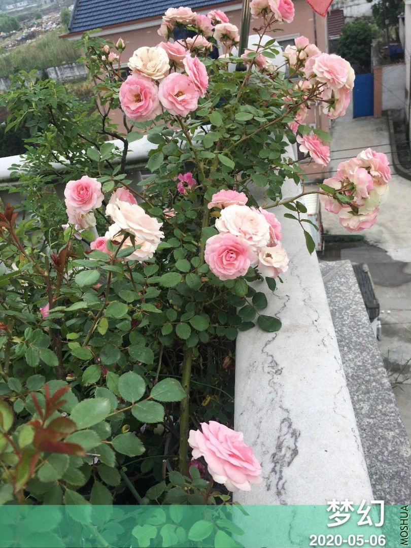 QQͼƬ20200506191648.jpg
