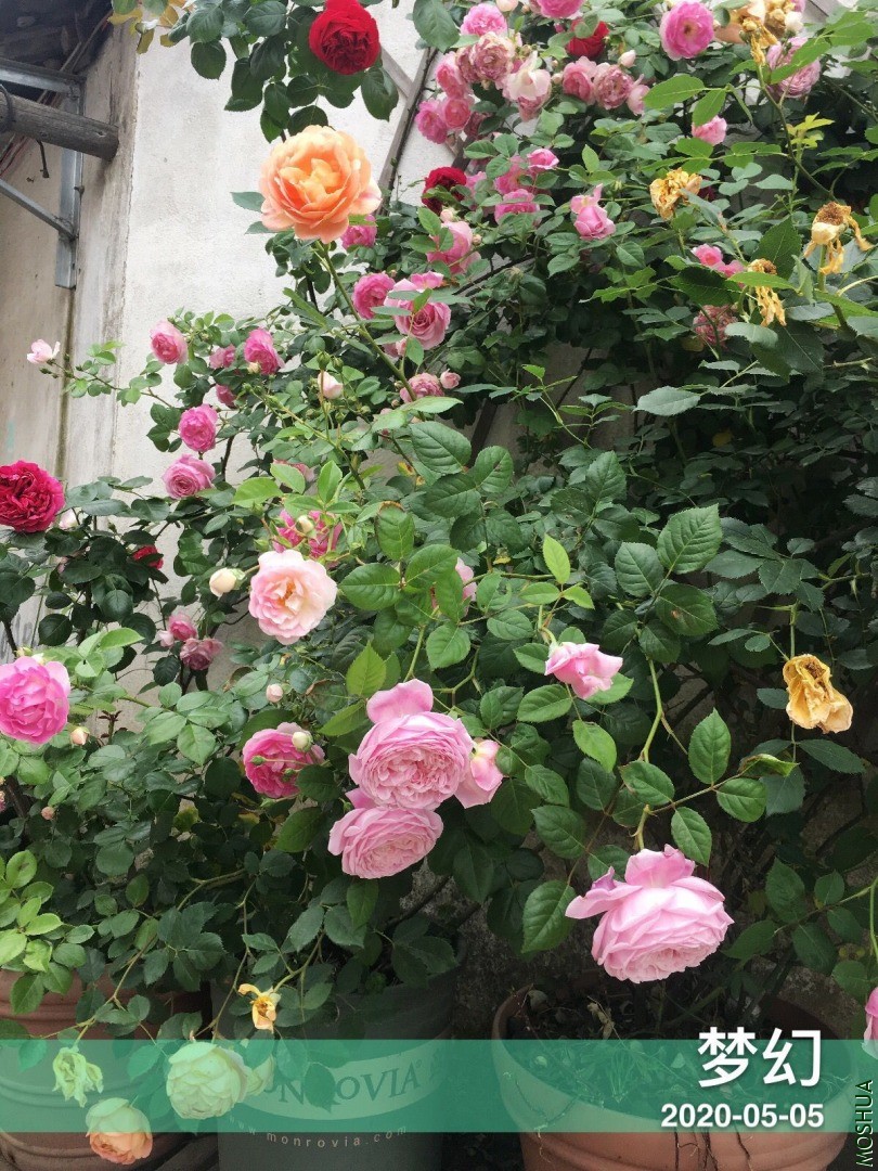 QQͼƬ20200506191708.jpg