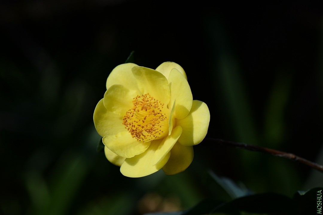DSC_8162.JPG