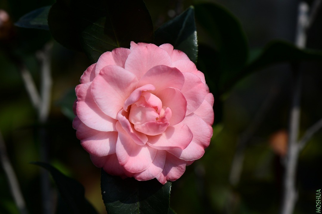 DSC_8149.JPG