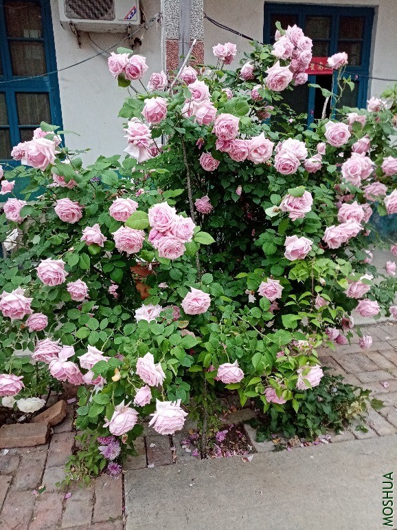 ΢��ͼƬ_20200508122050.jpg