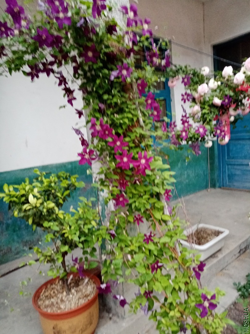 ΢��ͼƬ_20200508122046.jpg