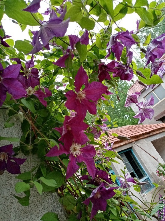 ΢��ͼƬ_20200508122111.jpg