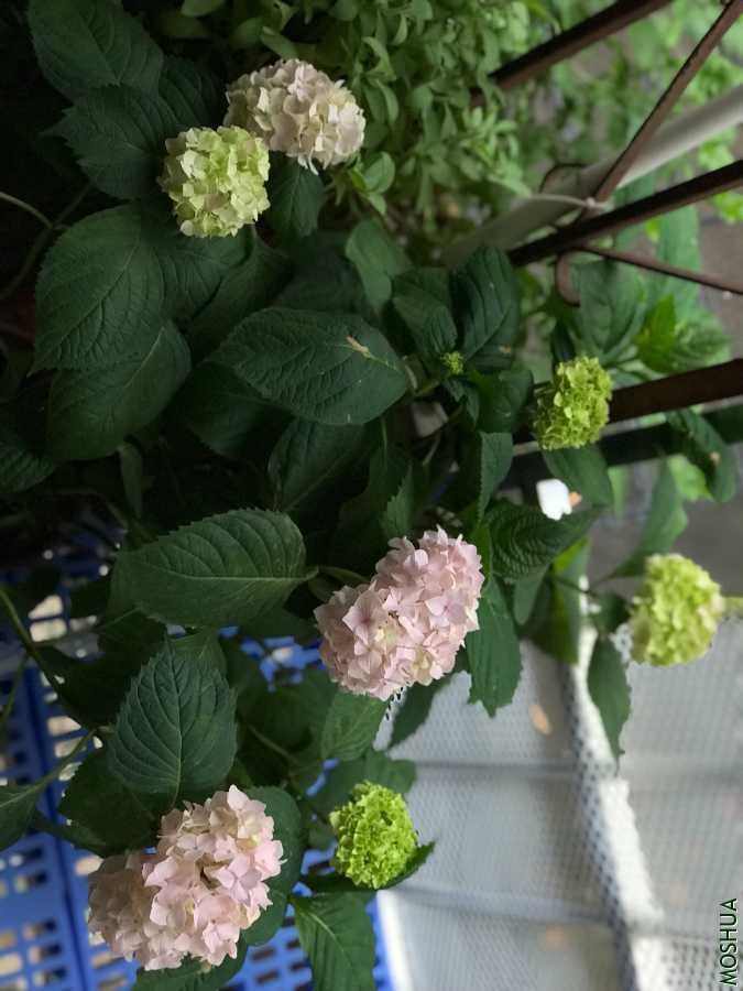 4FD3DE5D-64BF-4696-AAF7-C368BE106F7F.jpeg