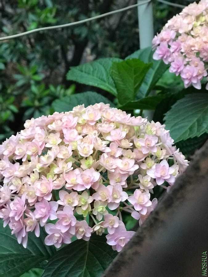 18704279-43F6-4FDD-9BA0-5FE14553F044.jpeg